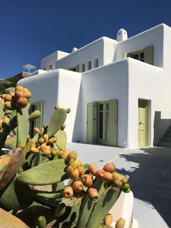 Villa Agnes Mykonos Mykonos Town 외부 사진